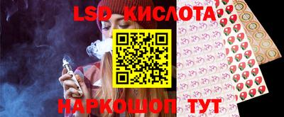 стафф Пенза