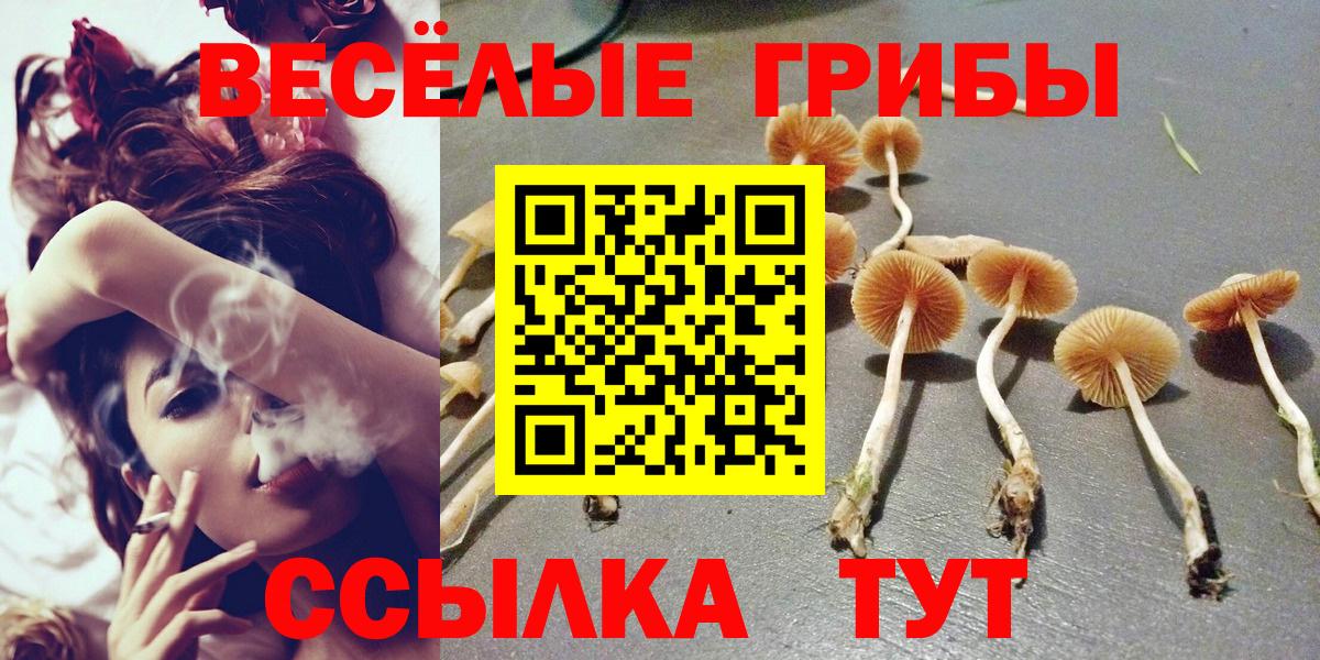 Псилоцибиновые грибы Psilocybine cubensis  Вход с VPN  Подольск 