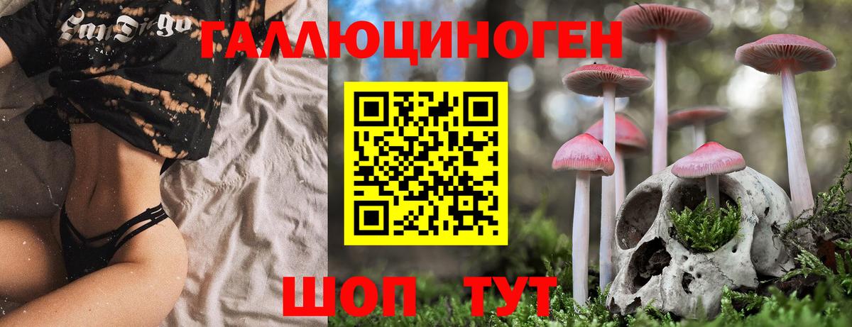 Псилоцибиновые грибы MAGIC MUSHROOMS Подольск